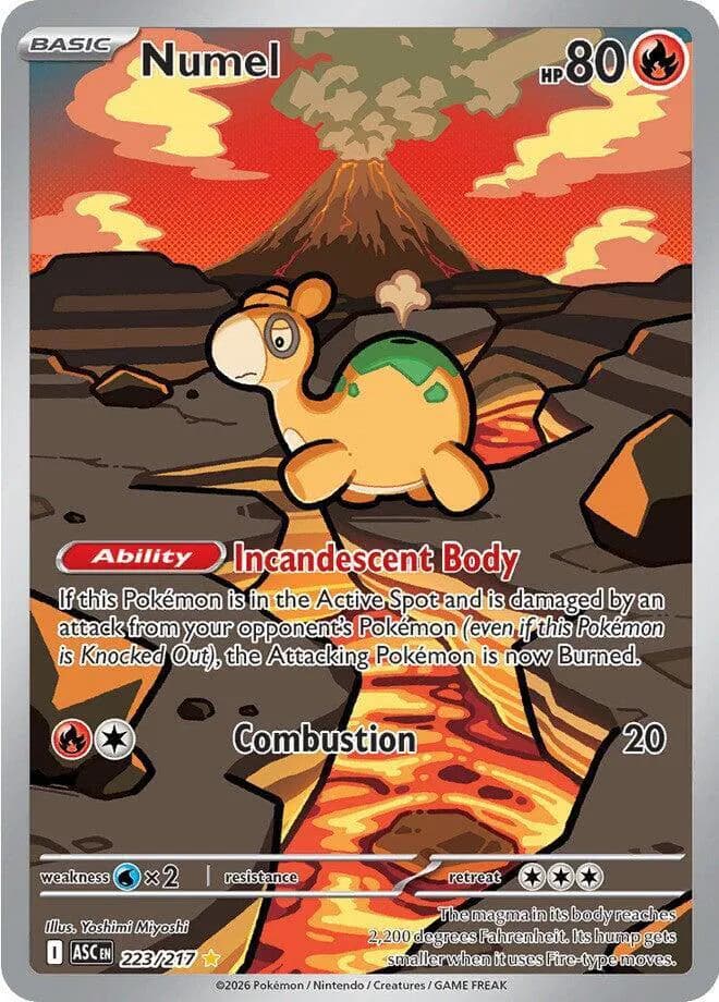 Numel  - Ascended-Heroes Pokemon card