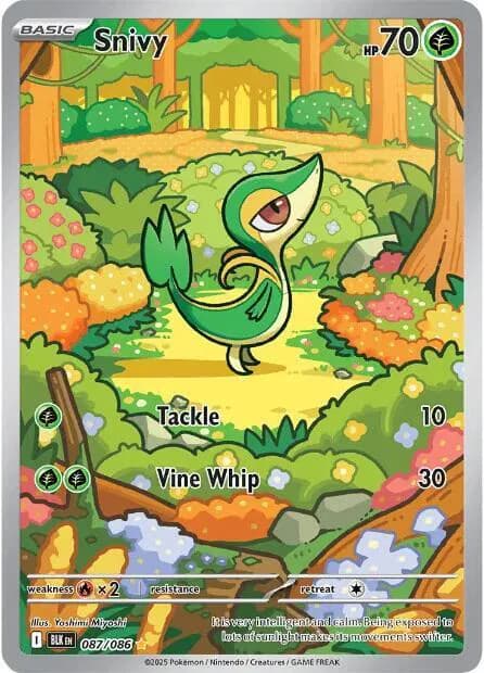 Snivy 