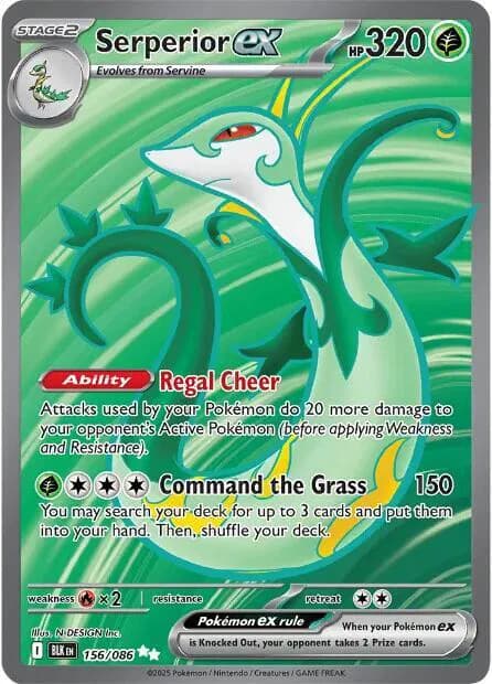 Serperior ex  - Black-Bolt Pokemon card