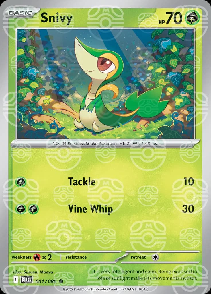 Snivy (Master Ball Pattern) 