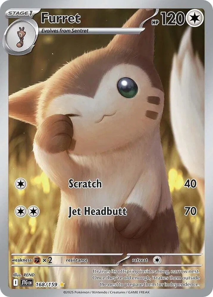 Furret 