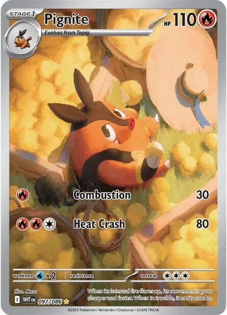 Pignite  - White-Flare Pokemon card