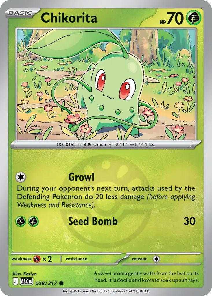 Chikorita