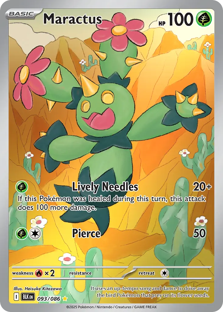 Maractus