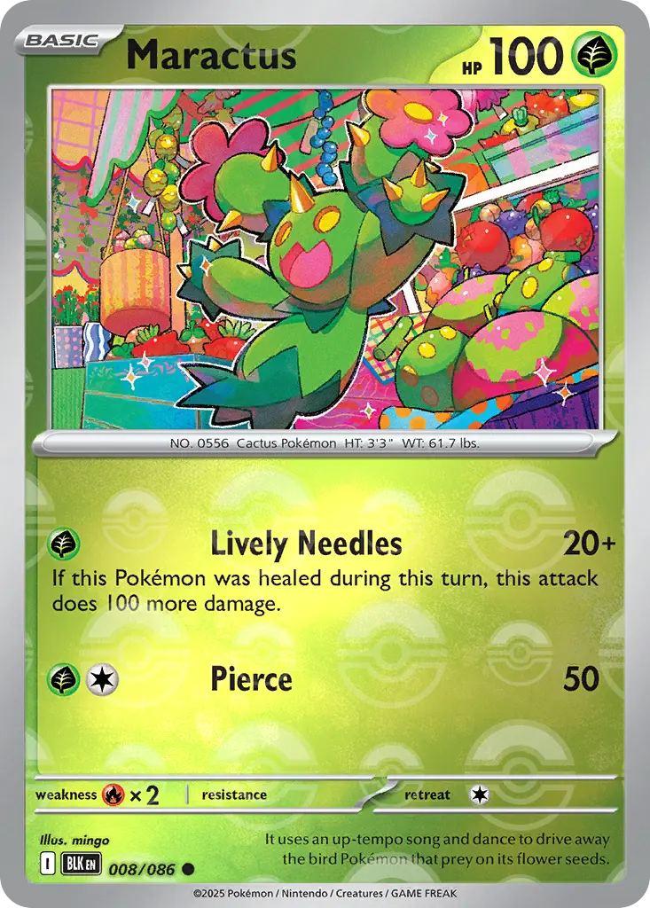 Maractus