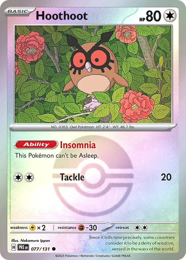 Hoothoot
